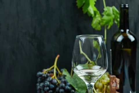 A glass of white wine with a bunch of red grapes around Stock Photos
