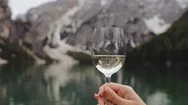  A Glass Of White Wine Stock Footage
