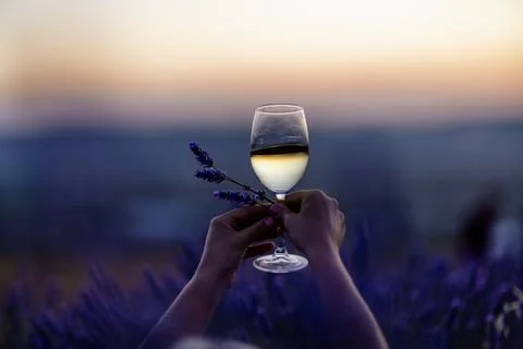 Glass white wine lavender field. Woman hand holds a glass with lavander and wine Stock Photos