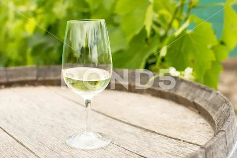 Glass of white wine on an oak barrel with vine leaves in a close background Stock Photos
