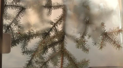 Glass window covered with freezing pattern 库存影片 968777