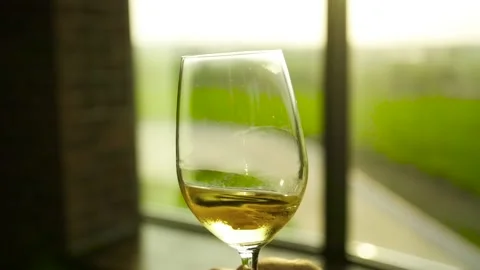 Glass of wine close up rolling Stock Footage 169137235
