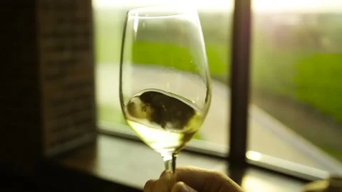 Glass of wine close up rolling Stock Footage 169137267