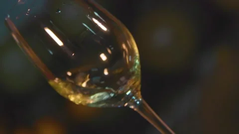 Glass of wine close up rolling Stock Footage 169139662