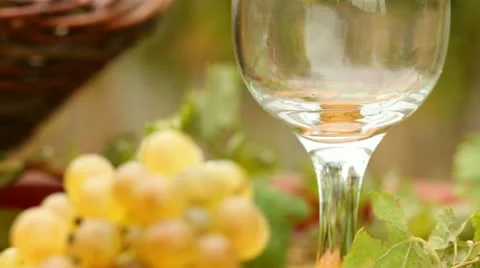 Glass of wine Stock Footage 24651373