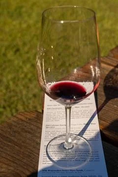 Glass of wine Foto stock