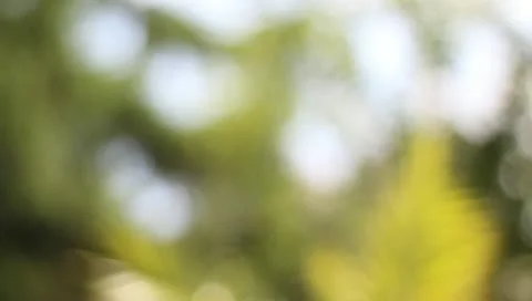 Glass of Wine - Tracking Stock Footage 11351061