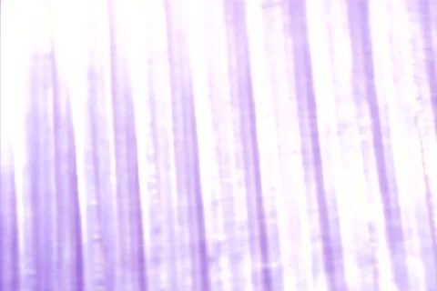 Glass1 Stock Footage 112504