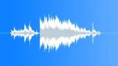 GLASS,DEBRISSound Effect