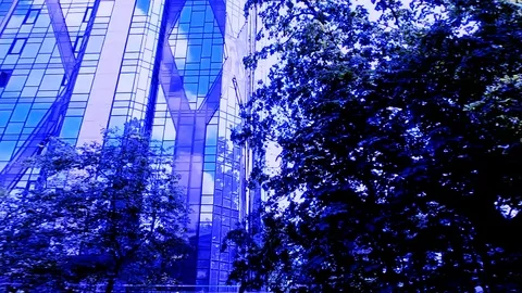 Glassed Skyscraper And Trees At Violet Abstraction Time With Big Oaks Stock Footage 91103665