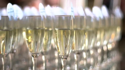 Glasses of champagne lined up in rows on a table Stock Footage 87295738