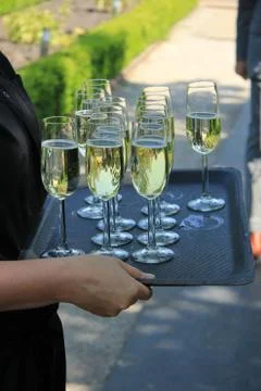 Glasses of champagne Stock Photos