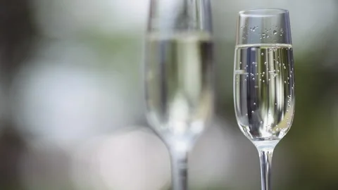 Glasses of champagne in the sun Stock Footage 169081097