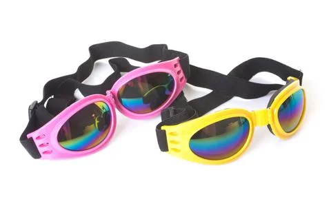 Glasses for dog Stock Photos