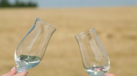 Glasses on the field Stock Footage 12690773