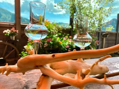 Glasses of fine spirits (schnapps or schnaps) served on a rustic wooden root in Stock Photos