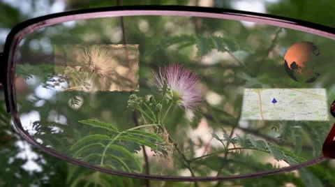 Glasses Stock Footage 26076549