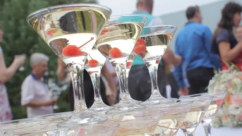 Glasses Stock Footage 87586025