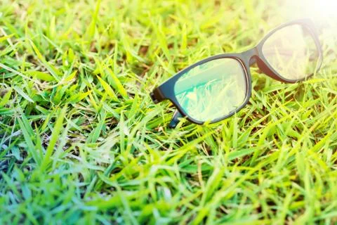 Glasses lay on the grass in the sunshine. Stock Photos