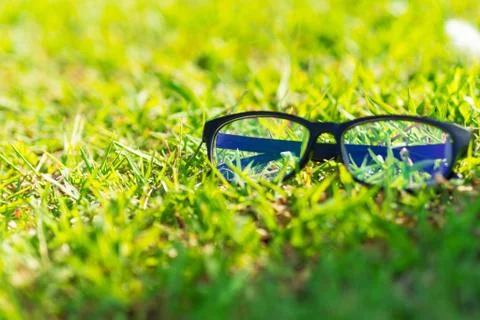 Glasses lay on the grass in the sunshine. Stock Photos