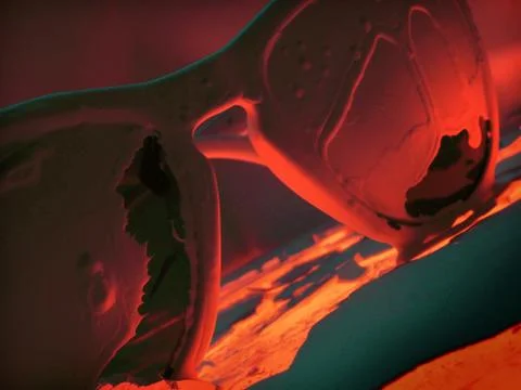 Glasses Stock Photos