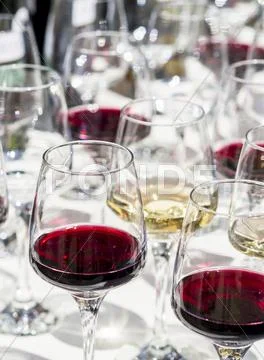 Glasses Of Red And White Wine For A Wine Tasting Session At The Annual Wine