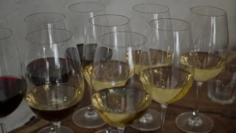 Glasses with sparkling wine. Stock Footage 293224985