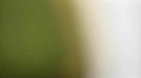 Glasses spinning background loop Stock Footage 12228285