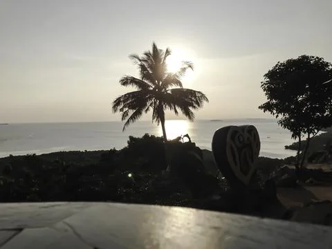 Glasses on table. Palm tree and sunset 스톡 사진