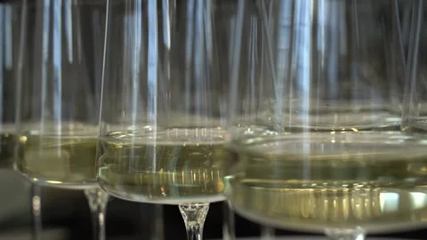Glasses of white wine. The glasses are on the table. Stock Footage 342993452