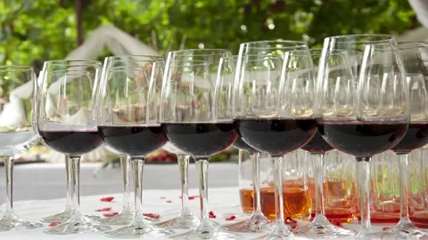 Glasses of wine Stock Footage 145458694