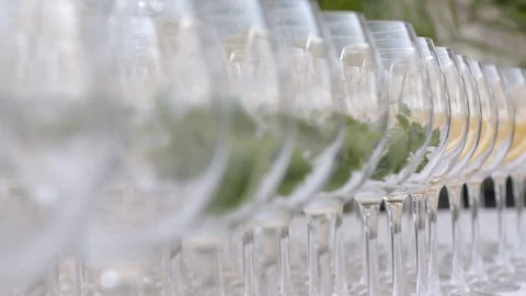 Glasses of Wine with Mint Stock Footage 90633981
