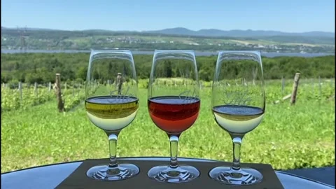 Glasses of Wine on a Tray Testing Stock Footage 205229707