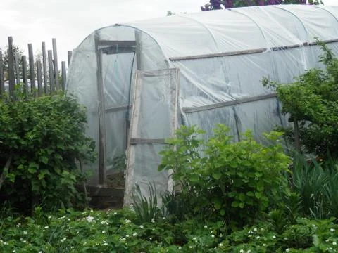 Glasshouse 스톡 사진