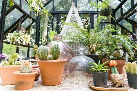 A glasshouse Stock Photos