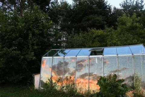 Glasshouse Reflection Fotos de archivo
