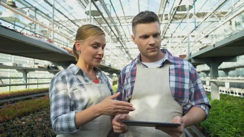 Glasshouse workers checking seedlings and making notes in tablet app, business Видео 118975012