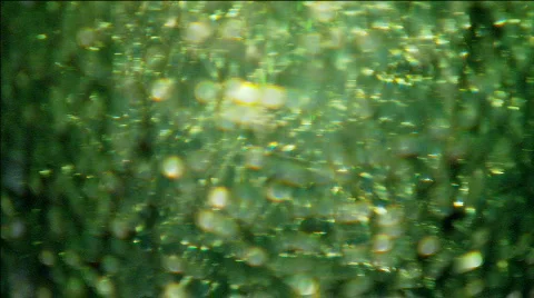 GlassLoop1 库存影片 531874