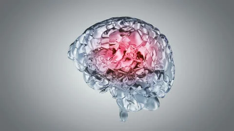 Glassy brain Video stock 25049044