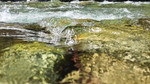 Glassy Mini River Wave in the PNW Stock Footage 278281188