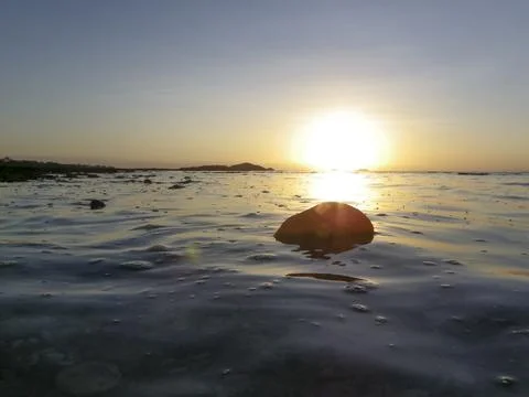 Glassy Sunset over the ocean Stock Photos