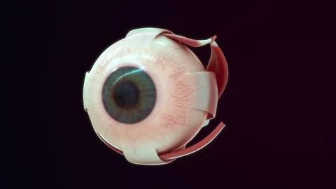 Glaucoma eye diseases of 3d illustrator Stock Illustration