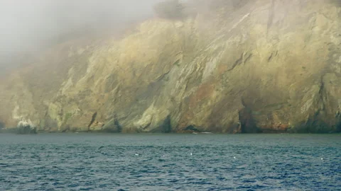 Glaucous Gulls sit in Pacific Ocean just below Marin Headlands cliffs California Stock-Footage 242830049