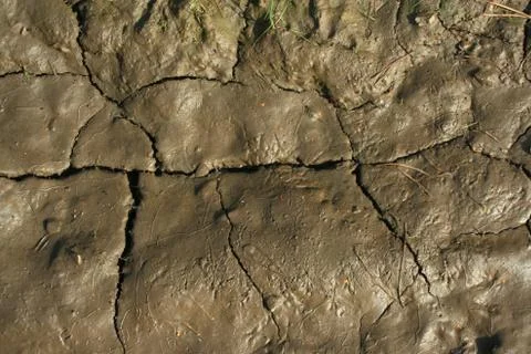 Glay background Stock Photos