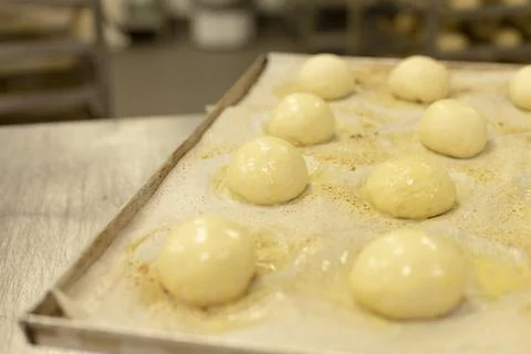 Glazed bread dough balls resting on parchment lined tray in warm bakery kitchen Stockfoto's