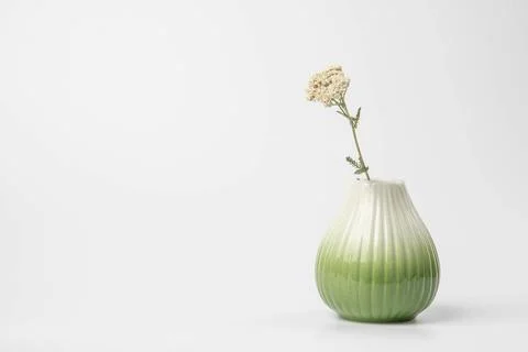 Glazed ceramic vase in white and green gradient, wildflower from mouse tail Stock Photos