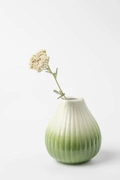Glazed ceramic vase in white and green gradient, wildflower from mouse tail Stock-Fotos