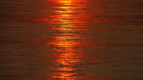 The Gleam Of The Setting Sun Reflected In The Water. Stock Footage 54908048