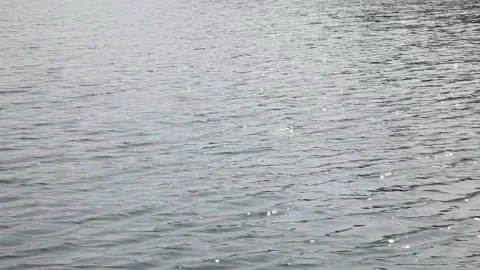 A gleaming river, a gleaming lake Видео 310075820
