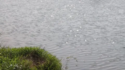 A gleaming river, a gleaming lake Video stock 310075930